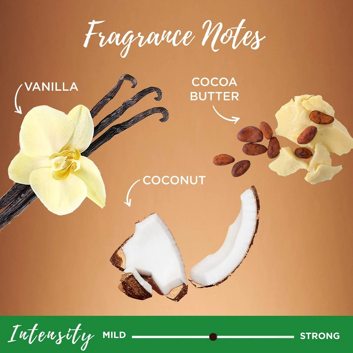 Garnier-HairCare-WholeBlends-CocoCocoa-Shampoo-DAKAR